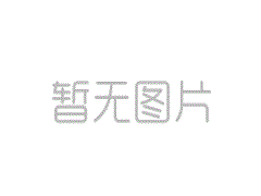 金佐·金的照片外观的介绍